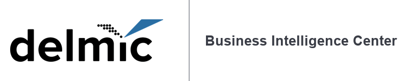 Delmic Business Intelligence Center